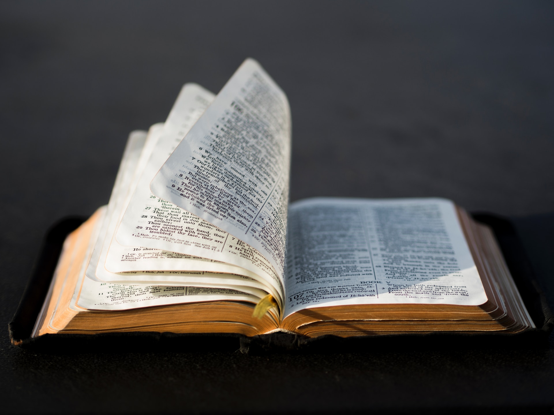 Image shows an open Bible for an article about whether writers need permission to quote the Bible in their books.