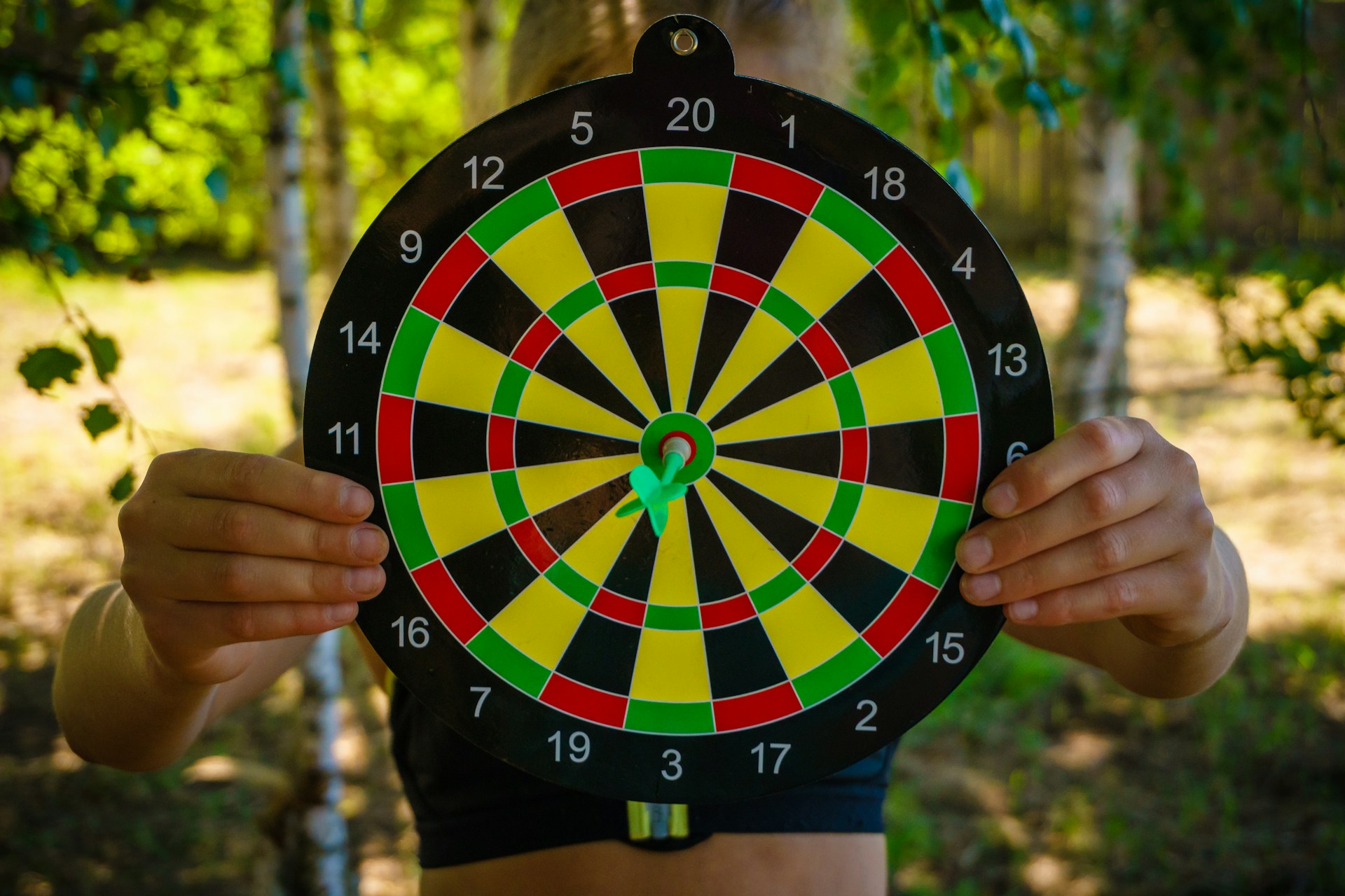Image shows a person holding a dartboard to illustrate the idea that writers should have goals for their books