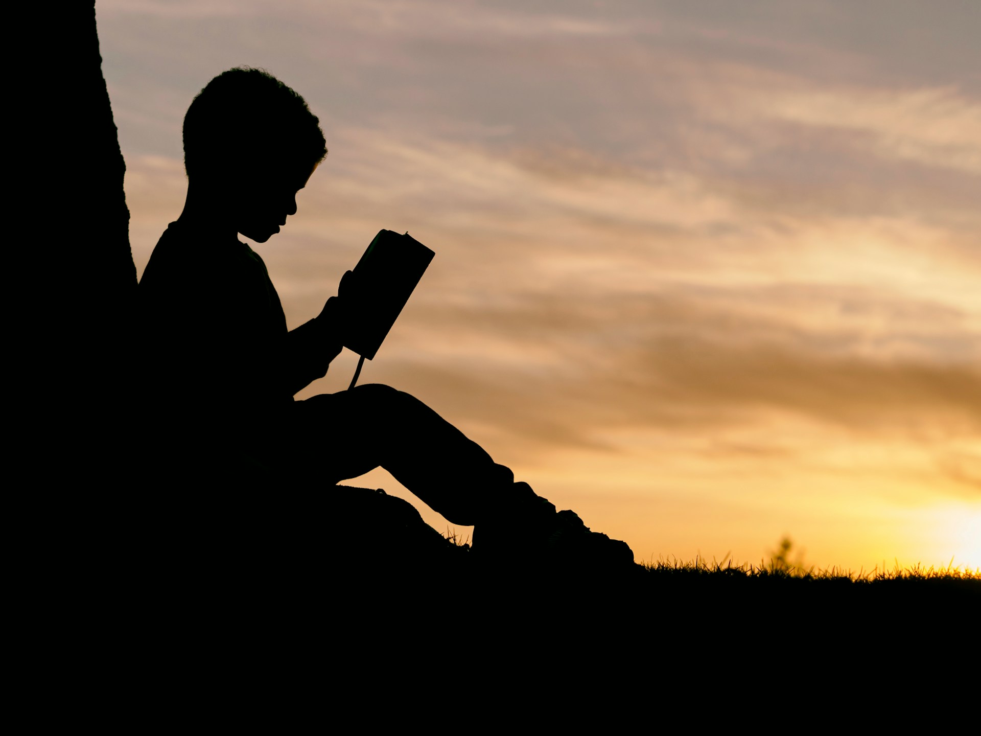 Silhouette of boy reading a book that may be a best-seller