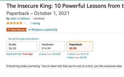 #1 New Release: The Insecure King