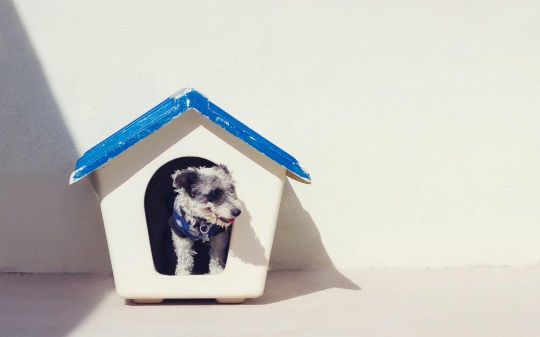 What Are Metaphors and Why Should You Use Them?